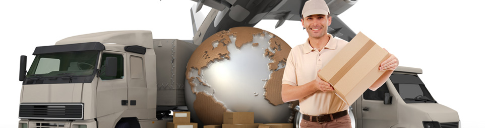 Sevices - McCallum Cargo Sri Lanka